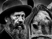 501 - HORSE DEALER - JERSZI GABRIELLA - hungary <div